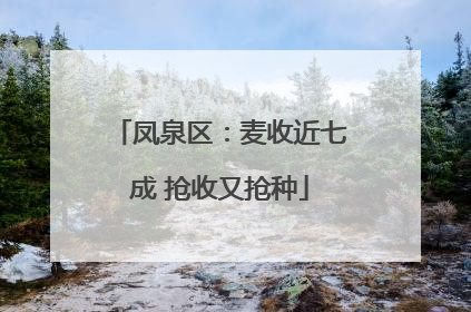 凤泉区：麦收近七成 抢收又抢种