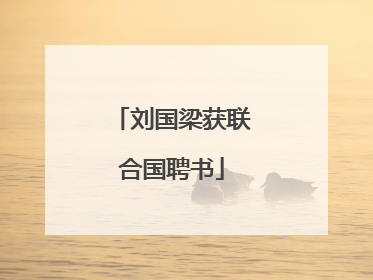 刘国梁获联合国聘书