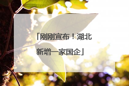 刚刚宣布！湖北新增一家国企