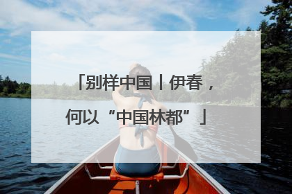 别样中国丨伊春，何以“中国林都”
