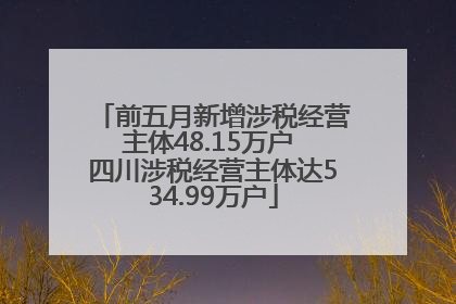 前五月新增涉税经营主体48.15万户 四川涉税经营主体达534.99万户