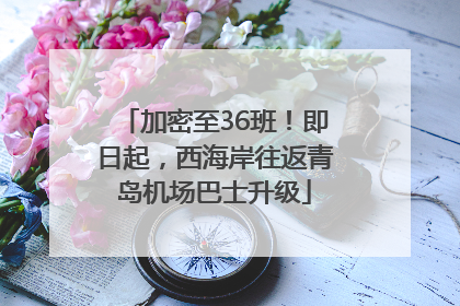 加密至36班！即日起，西海岸往返青岛机场巴士升级