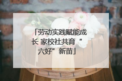 劳动实践赋能成长 家校社共育“六好”新苗