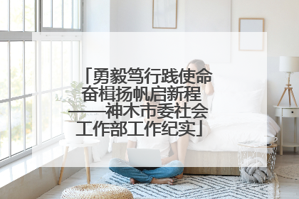 勇毅笃行践使命 奋楫扬帆启新程——神木市委社会工作部工作纪实