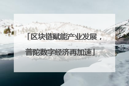 区块链赋能产业发展，普陀数字经济再加速