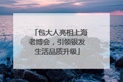 包大人亮相上海老博会，引领银发生活品质升级