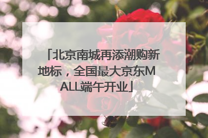 北京南城再添潮购新地标，全国最大京东MALL端午开业