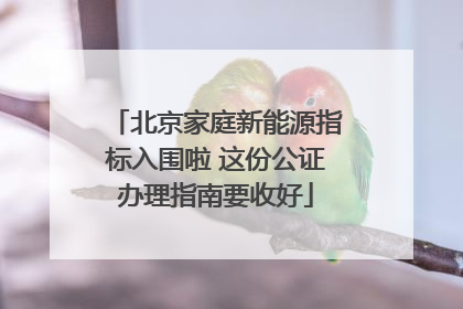北京家庭新能源指标入围啦 这份公证办理指南要收好
