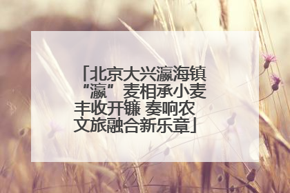 北京大兴瀛海镇“瀛”麦相承小麦丰收开镰 奏响农文旅融合新乐章