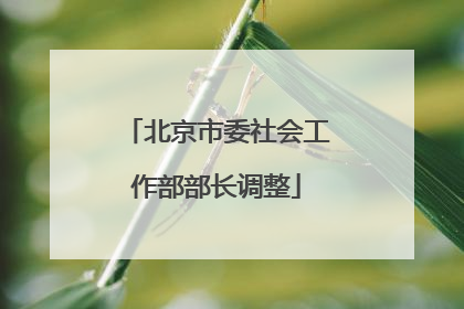 北京市委社会工作部部长调整