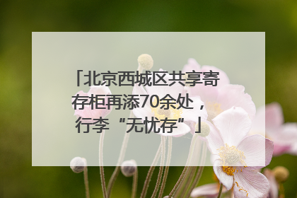 北京西城区共享寄存柜再添70余处，行李“无忧存”
