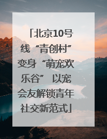 北京10号线“青创村”变身“萌宠欢乐谷” 以宠会友解锁青年社交新范式