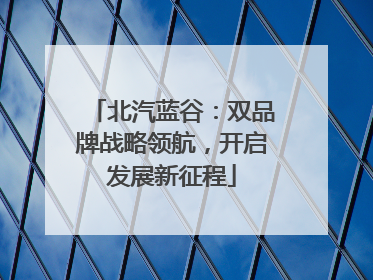 北汽蓝谷：双品牌战略领航，开启发展新征程