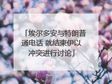 埃尔多安与特朗普通电话 就结束伊以冲突进行讨论