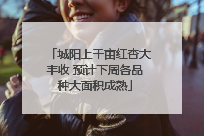 城阳上千亩红杏大丰收 预计下周各品种大面积成熟