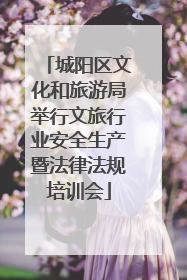 城阳区文化和旅游局举行文旅行业安全生产暨法律法规培训会