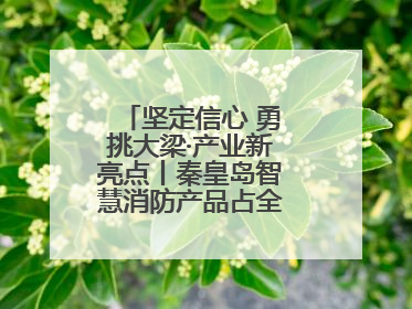坚定信心 勇挑大梁·产业新亮点丨秦皇岛智慧消防产品占全国市场超四成