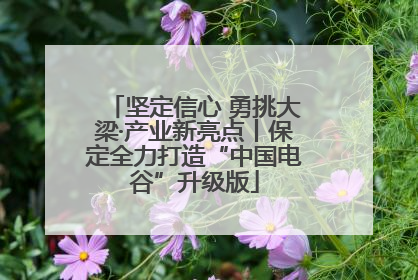 坚定信心 勇挑大梁·产业新亮点丨保定全力打造“中国电谷”升级版