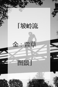 坡岭流金：萱草图景