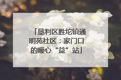 垦利区胜坨镇通明苑社区：家门口的暖心“益”站