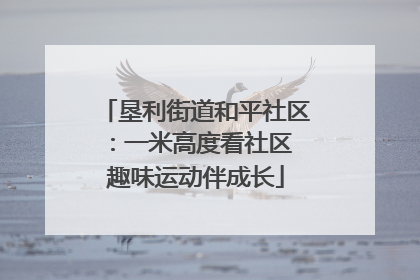 垦利街道和平社区：一米高度看社区 趣味运动伴成长