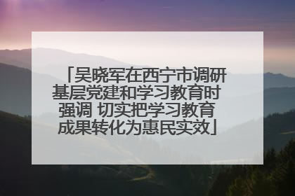 吴晓军在西宁市调研基层党建和学习教育时强调 切实把学习教育成果转化为惠民实效