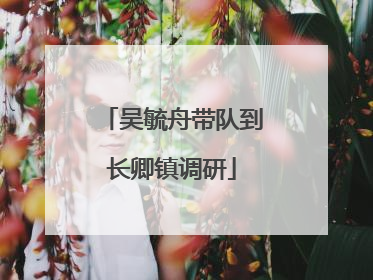 吴毓舟带队到长卿镇调研