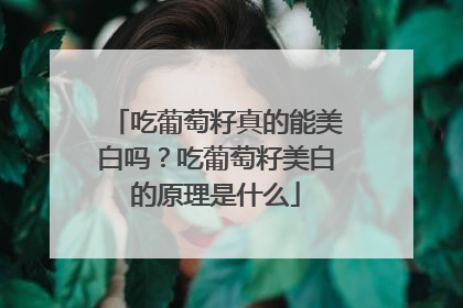 吃葡萄籽真的能美白吗？吃葡萄籽美白的原理是什么