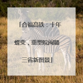 合福高铁：十年蝶变，重塑皖闽赣三省新图景