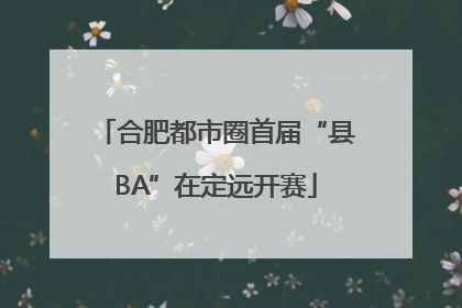 合肥都市圈首届“县BA”在定远开赛
