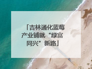 吉林通化蓝莓产业铺就“绿富同兴”新路