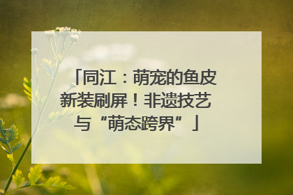 同江：萌宠的鱼皮新装刷屏！非遗技艺与“萌态跨界”