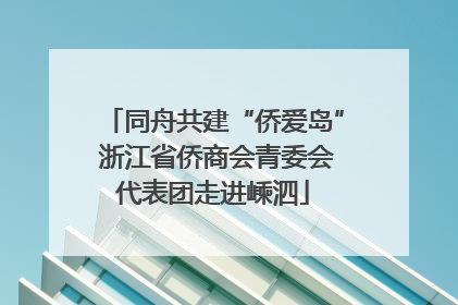 同舟共建“侨爱岛” 浙江省侨商会青委会代表团走进嵊泗
