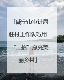 咸宁市审计局驻村工作队巧用“三招”点亮美丽乡村