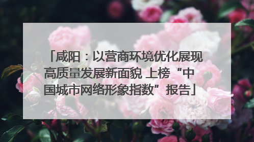 咸阳：以营商环境优化展现高质量发展新面貌 上榜“中国城市网络形象指数”报告