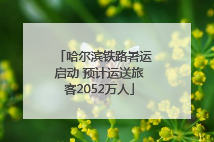 哈尔滨铁路暑运启动 预计运送旅客2052万人