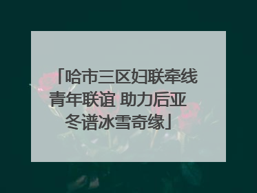 哈市三区妇联牵线青年联谊 助力后亚冬谱冰雪奇缘