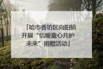 哈市香坊区向阳镇开展“情暖童心共护未来”捐赠活动