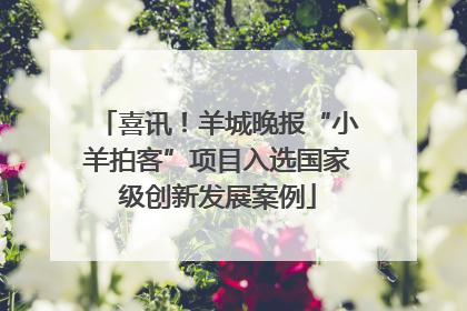 喜讯！羊城晚报“小羊拍客”项目入选国家级创新发展案例