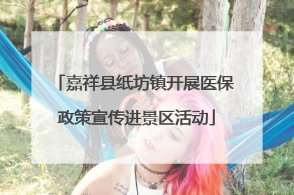 嘉祥县纸坊镇开展医保政策宣传进景区活动