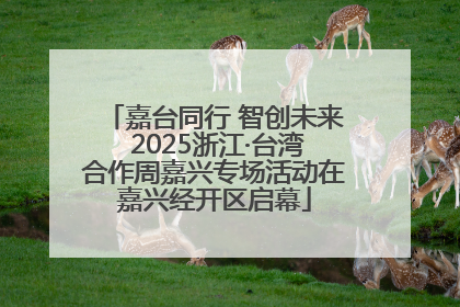 嘉台同行 智创未来 2025浙江·台湾合作周嘉兴专场活动在嘉兴经开区启幕