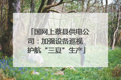 国网上蔡县供电公司：加强设备巡视 护航“三夏”生产