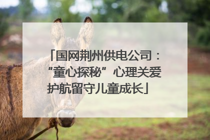 国网荆州供电公司：“童心探秘”心理关爱护航留守儿童成长