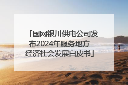 国网银川供电公司发布2024年服务地方经济社会发展白皮书