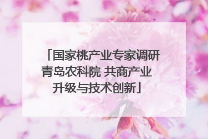 国家桃产业专家调研青岛农科院 共商产业升级与技术创新