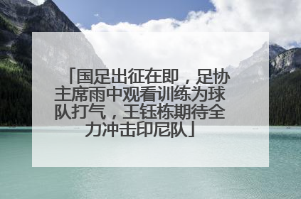国足出征在即，足协主席雨中观看训练为球队打气，王钰栋期待全力冲击印尼队
