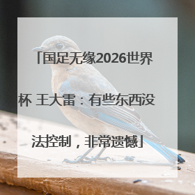 国足无缘2026世界杯 王大雷：有些东西没法控制，非常遗憾