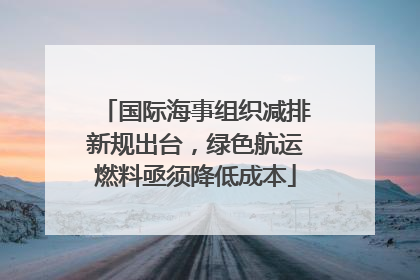 国际海事组织减排新规出台，绿色航运燃料亟须降低成本