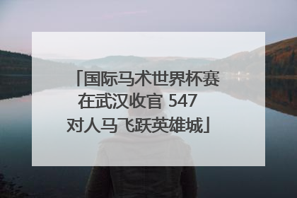 国际马术世界杯赛在武汉收官 547对人马飞跃英雄城
