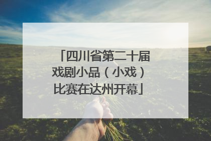 四川省第二十届戏剧小品（小戏）比赛在达州开幕